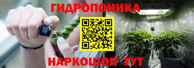сатива Кулебаки