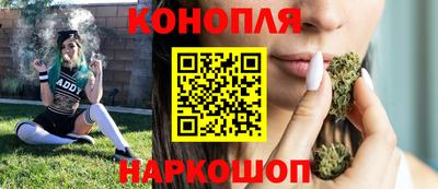 сатива Кулебаки