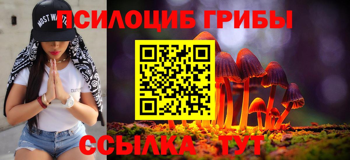 Галлюциногенные грибы Psilocybe  Псилоцибиновые грибы MAGIC MUSHROOMS  Казань  Вход с VPN 